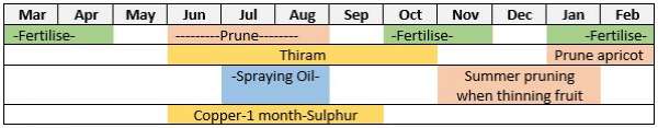 Fruit Tree Care Calendar